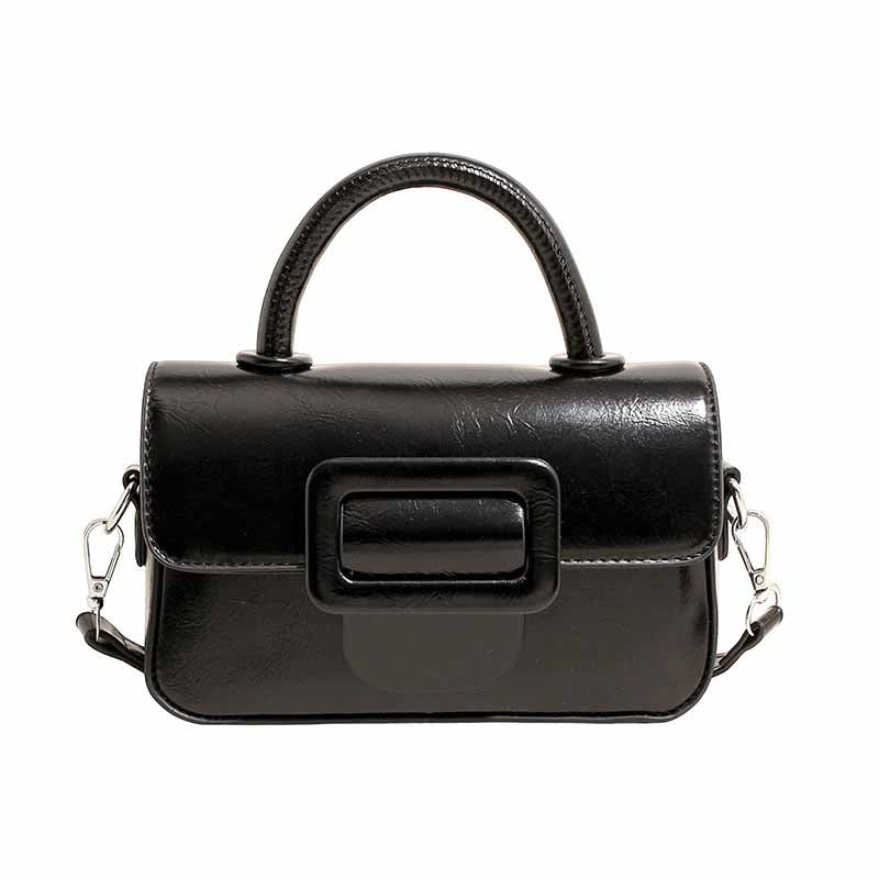 HandBag #6668