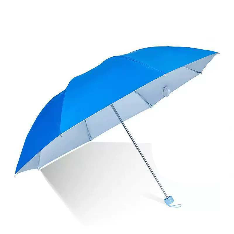 Umbrella #24082006