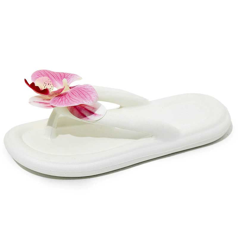 Slippers #26010301