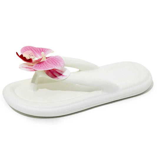 Slippers #26010301